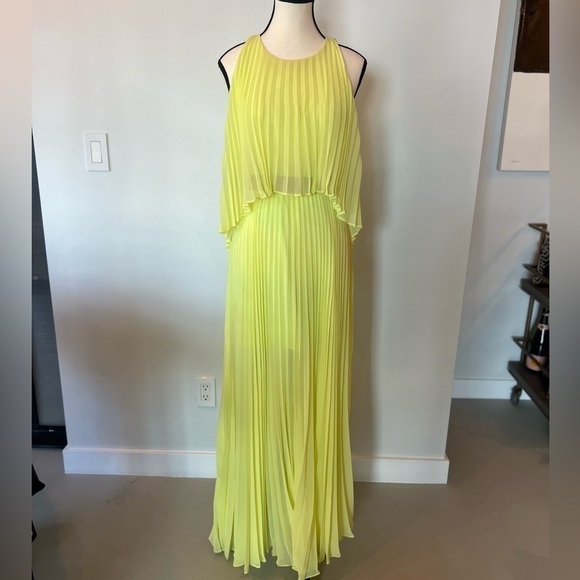Bcbgmaxazria Shaina Sleeveless Pleated Gown - Picture 1 of 15